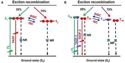 Suppressing Efficiency Roll-Off of TADF Based OLEDs by Constructing Emitting Layer With Dual Delayed Fluorescence